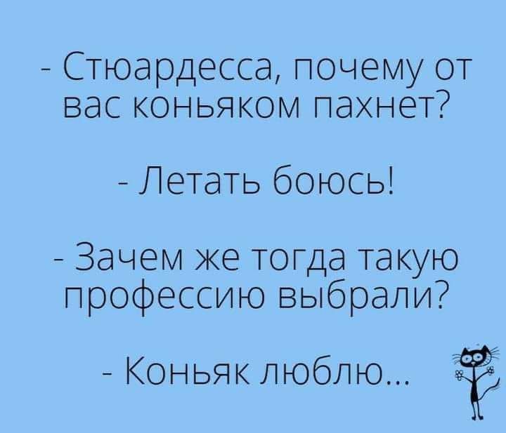 Стюардесса почему от вас коньяком пахнет Летать боюсь Зачем же тогда такую профессию выбрали Коньяк люблю