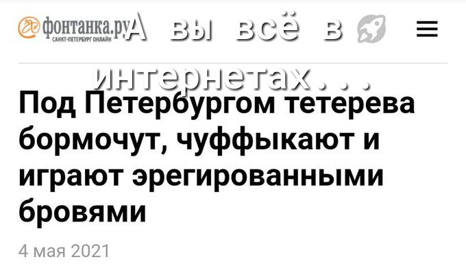 Фэдхатха ЩА вы 5 е 5 д Гал ПодП етербЁргом тетерева бормочут чуффыкают и играют эрегированными бровями