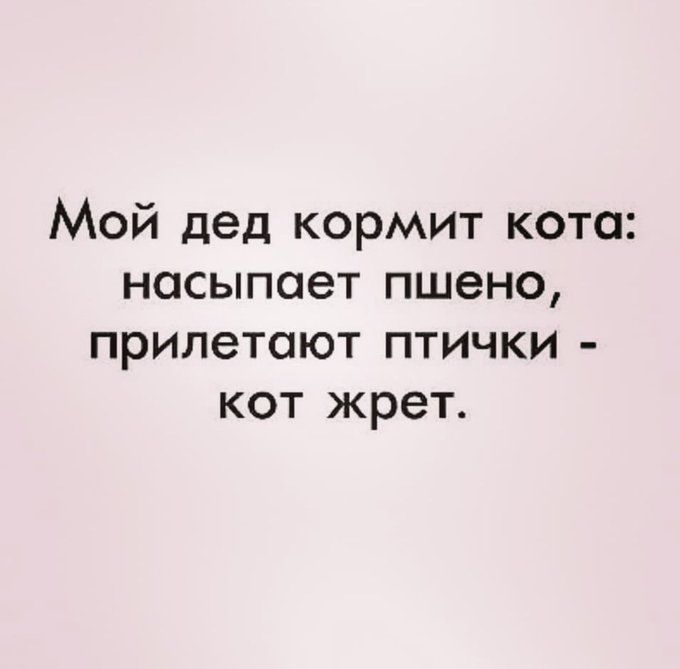 Мой дед кормит кота насыпает пшено прилетают птички кот жрет