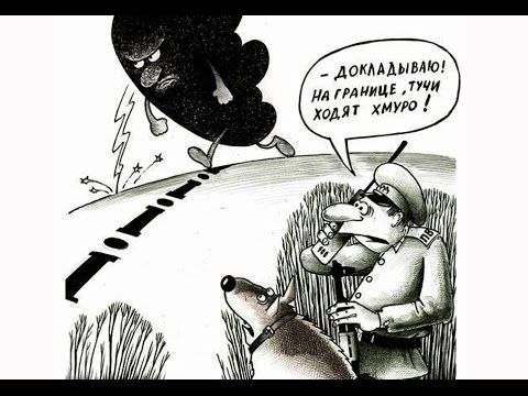 докмдмвш ил тиши ти
