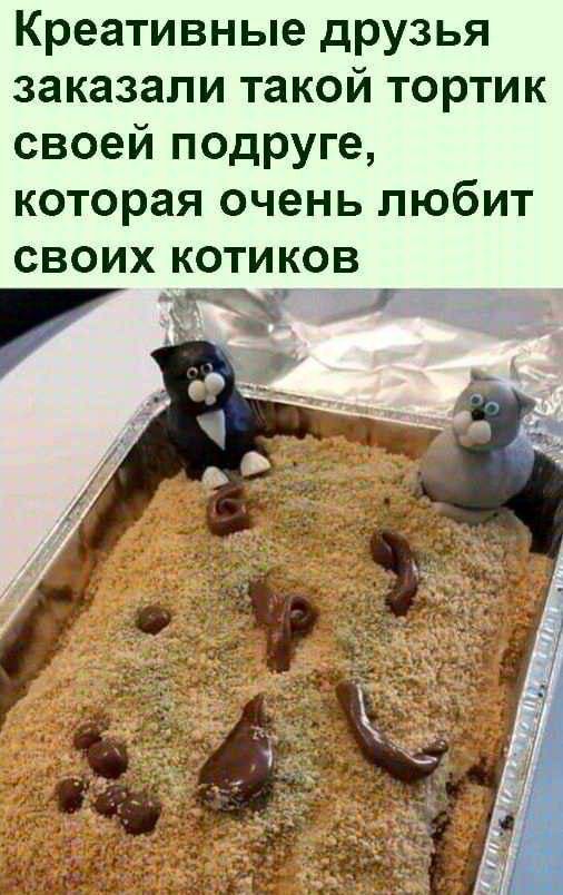 Креативные друзья заказали такой тортик своей подруге которая очень любит своих котиков 7