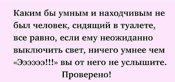 Каким бы умным и находчивым не был человек сидящий в туалете все равно если ему неожиданно выключить свет ничего умнее чем Ээээээ вы от него не услышите Проверено