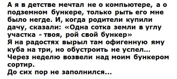 А я в детстве мечтал не о компьютере а о подземном бункере только рыть его мне было негде И когда родители купили дачу сказали Одна сотка земли в углу участка твоя рой свой бункер я на радостях вырыл там офигениую яму куба на три но обустроить не успел Через неделю возвели над моим бункером сортир до сих пор не заполнился