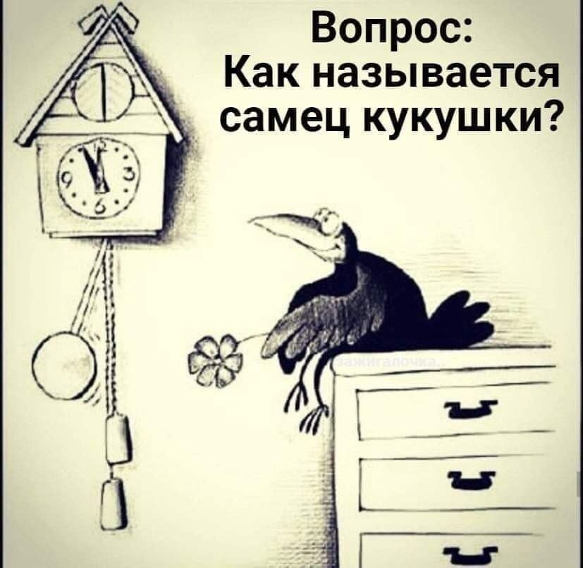 Вопрос Как называется самец кукушки