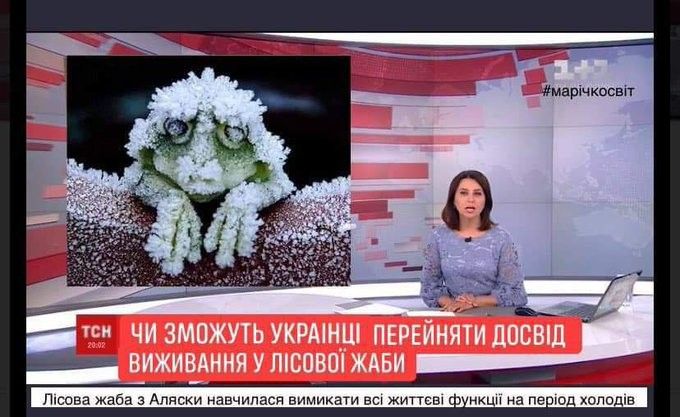 Л сова жаба Аляски на пасй вимикати вы життевх