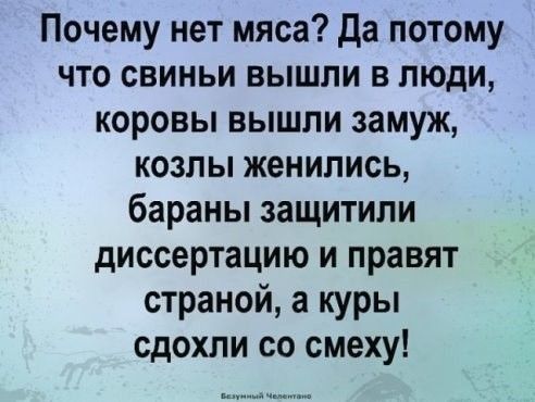Почему нет мяса да потому что свиньи вышли в люди коровы вышли замуж козлы женились бараны защитили диссертацию и правят страной а куры сдохли со смеху