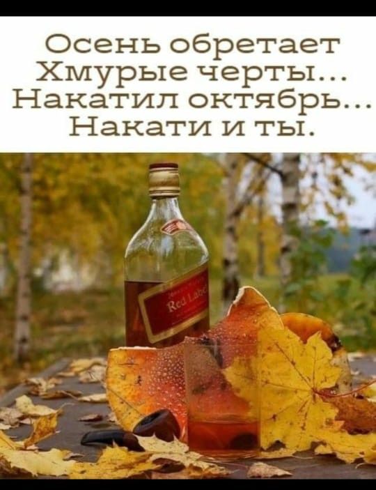 Осень обретает Хмурые черты Накатип октябрь Нанати И ты