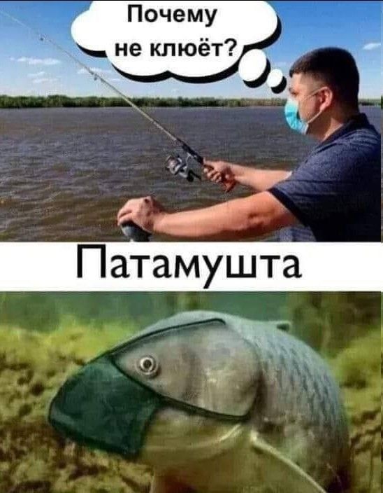 Почему не клюёт а Зі И