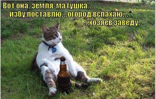 ЗОТ ОРЗ ЗСМПЯ МЭТУШН _ ЗТЗЛТП О ИБП