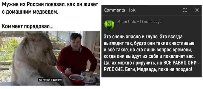 Мужик из Рвссии показал как пн живёт с домашним медведем Коммент лпрадовал отчет Ы Зто пчеиь пласии и глупо это всегда выглядит так будт они такие счастливые и всё такие но это лишь вопрос времени когда они выйдут из себя и локалвчау вас да их можно приручить ип всЁ рдвнп они _ РУССКИЕ Беги Медведь лпка не лоздип