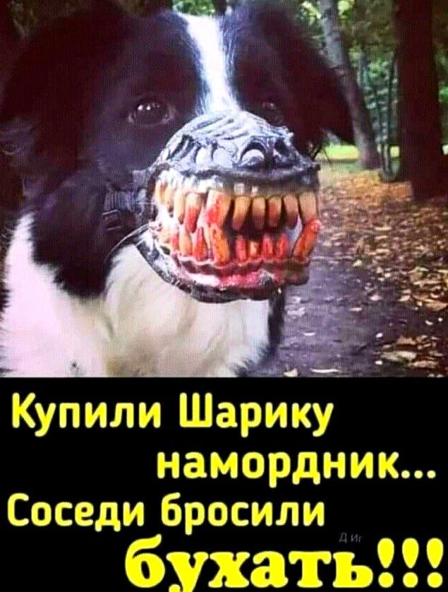 9 тд 1ГГ3МП и ъи сдммыу аг Езда е Еэшди м мысссши _7 иПбс _гъ Ё Х Цк ддь ООО
