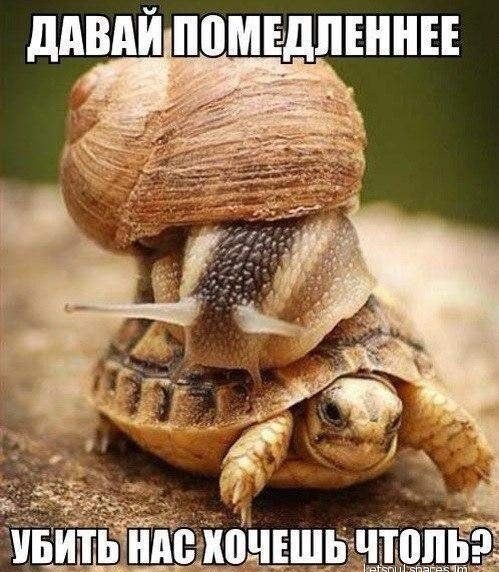 ШШШ ПВМЕДПШНЕЕ