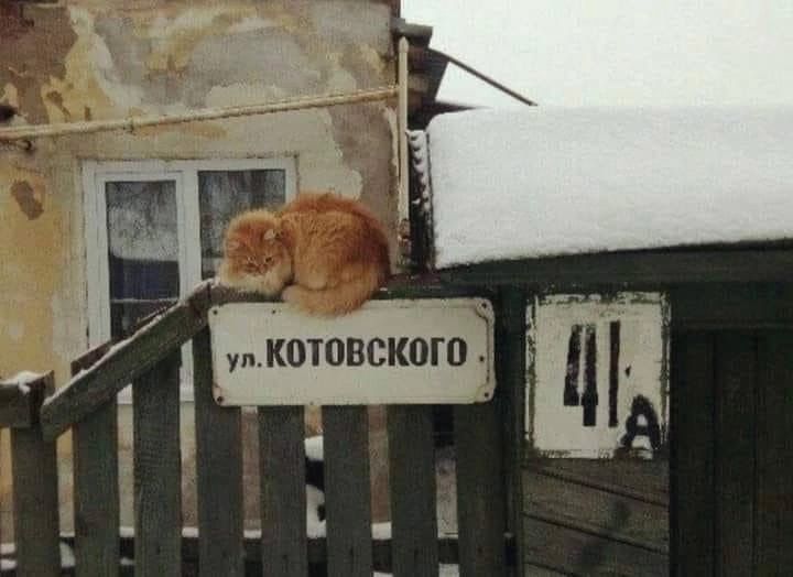 ул КВШВСКОЮ