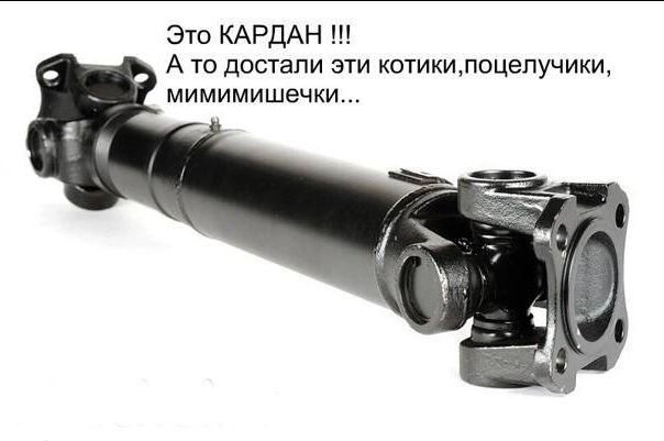 Это КАРДАН А то достали эти котикилоцепучики мимимишечки