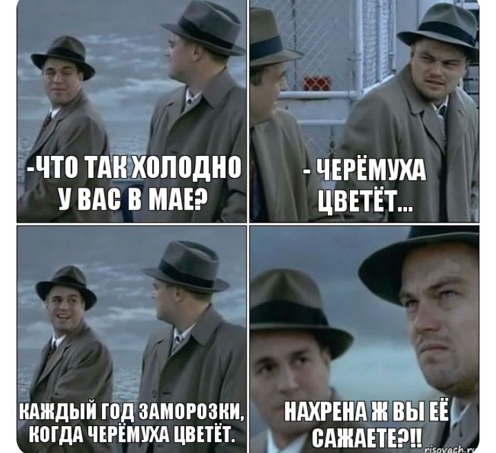 4что тАНтТюподно чвгімчхд вде в миг цветёт п идшдый гоЪЪАмпрозки НАХРЕНЁЖВЫ Щ ипгдд чтмухд цвшт _ ВАШАЕТЕ9