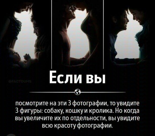 Если вы _9_ посмотрите на эти 3 фотографии то увидите 3 фигуры собаку кошкуи кролика Но когда ЕЫУВЕЛИЧИТЕ ИХ ПО ПТдЕЛЬНОЕТИ ВЫУВИДИТЕ всю красоту фотографии