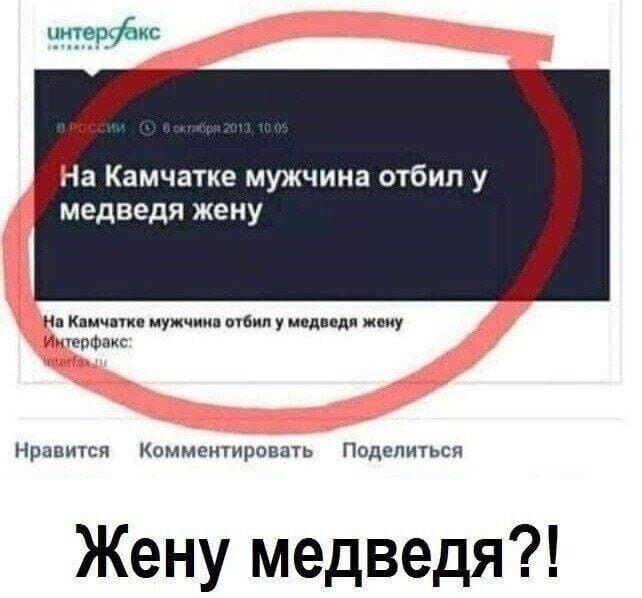 і іа Камчатке мужчина отбип у медведя жену и к иуцчии у м жму мы Нрпвшсп коммцитпрпамь податься Жену медведя
