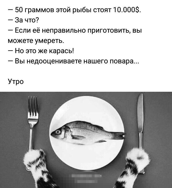 50 граммов этой рыбы стоят 100005 за что Если её неправильно приготовить вы можете умереть Но это же карась Вы недооцениваете нашего повара Утро