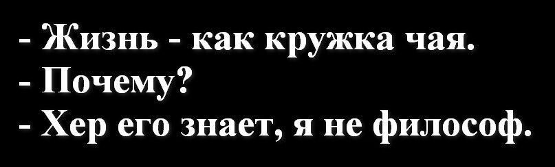 Жизнь как кружка чая Почему Хер его знает я не философ