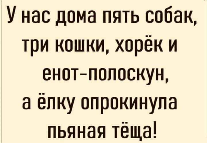 У нас дома пять собак три кошки хорёк и енотпопоскун а ёлку опрокинула пьяная тёща
