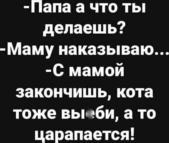 Папа а что ты делаешь Маму наказываю С мамой закончишь кота тоже вьмби а то царапается __ _