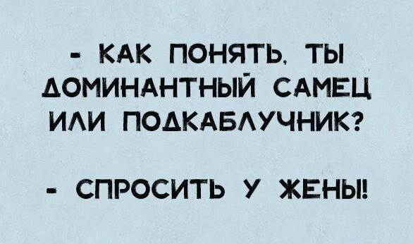 КАК ПОНЯТЬ ТЫ АОИИНАНТНЫЙ САМЕЦ ИАИ ПОАКАБАУЧНИК СПРОСИТЬ У ЖЕНЫ