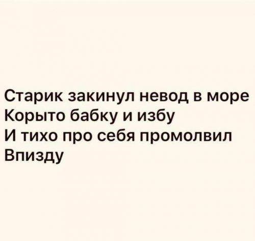 Старик закинул невод в море Корыто бабку и избу И тихо про себя промолвил Впизду