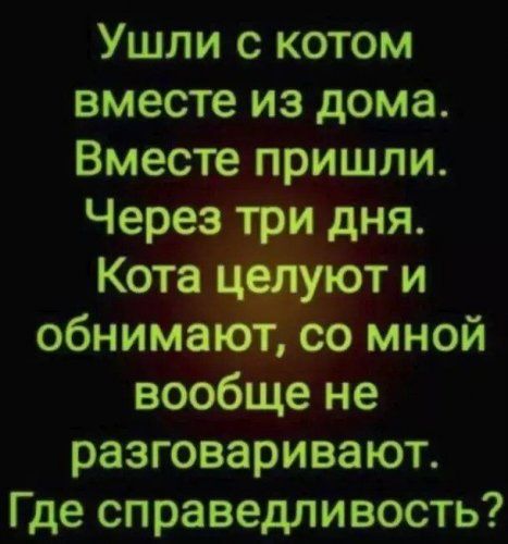 Ушли с котом вместе из дома Вместе пришли Через тр_и дня Кота юти обнима Со мной вообще не разговаривают Где справедливость