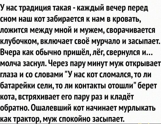 У нас традиция такая каждый вечер перед сном наш кот забирается к нам в кровать ложится между мной и мужем сворачивается клубочком включает своё мурчало и засыпает Вчера как обычно пришёллёг свернулся и молча заснул Через пару минут муж открывает глаза и со словами У нас кот сломалщто ли батарейки селито ли контакты отоцши берет кота встряхивает его пару раз и кладёт обратно Ошалевший кот начинает