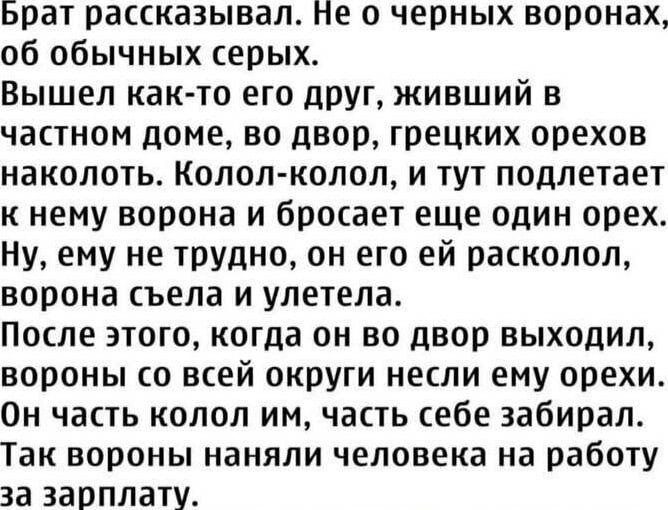 Брат рассказывал Не о черных воронах об обычных ерых Вышел както его друг живший в частном доме во двор грецких орехов наколоть исполколол и тут подлетает к нему ворона и бросает еще один орех Ну ему не трудно он его ей расколол ворона съела и улетела После этого когда он во двор выходил вороны о всей округи несли ему орехи Он часть колол им часть себе забирал Так вороны наняли человека на работу 