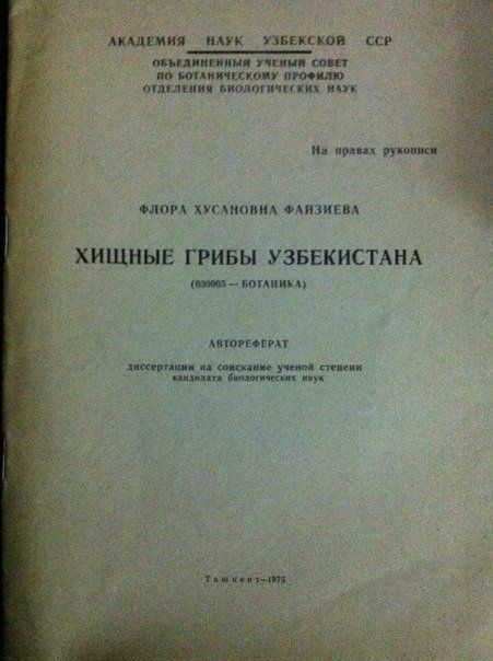 надёжна пук шккл ищи___шщушт по шиншиллу тдици подтип __ ши шмат __ щ__