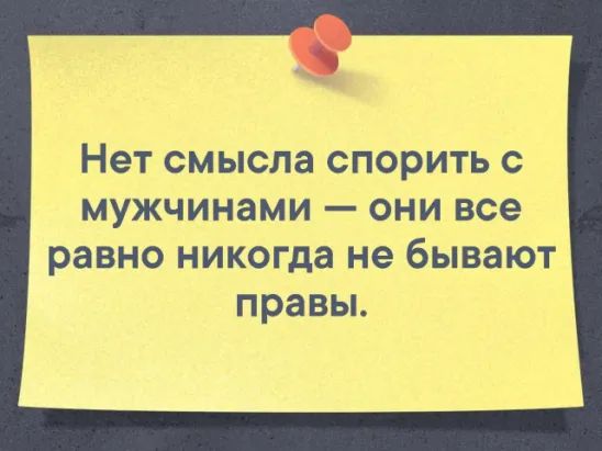 НЕТ СМЫСЛЭ СПОРИТЬ С МУЖЧИНЗМИ _ ОНИ все равно никогда не бывают правы