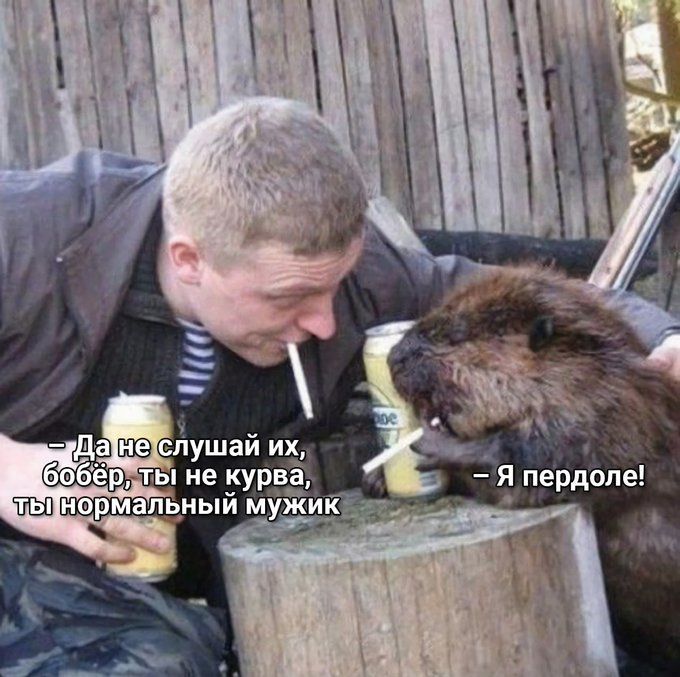 да Баз слушай их бёр т ие