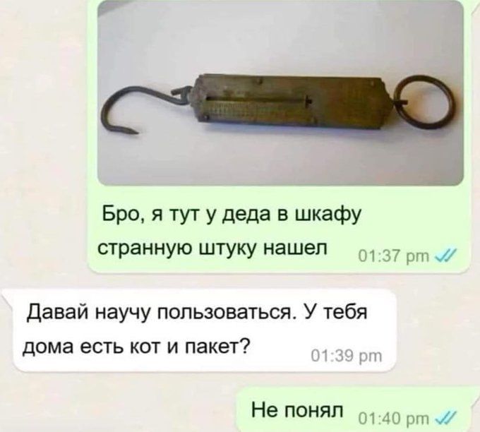 Бро я тут у деда в шкафу странную штуку нашеп д Давай научу пользоваться У тебя дома есть кот и пакет Не поняп и