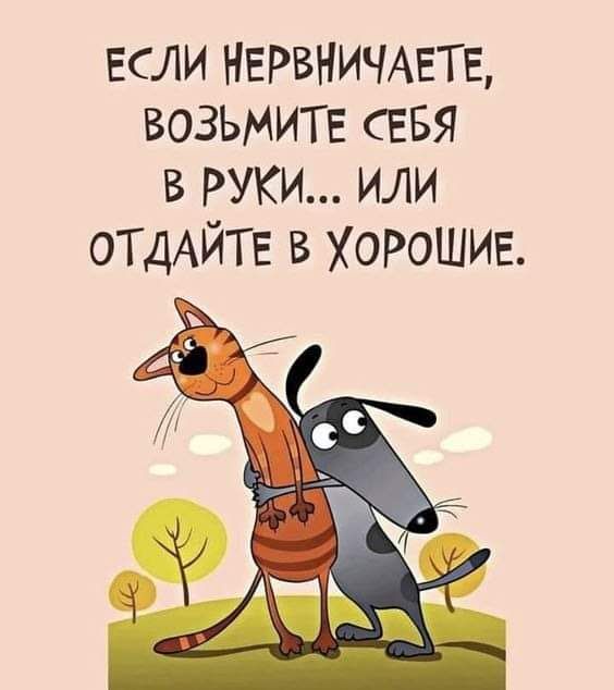 если НЕРВНИЧАЕТЕ возьмите севя в руки или ОТДАЙТЕ в хорошие