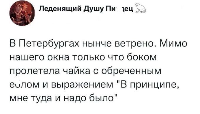 Педеиящий душу Пи ец В Петербургах нынче ветрено Мимо нашего окна только что боком пролетела чайка с обреченным еыпом и выражением В принципе мне туда и надо было