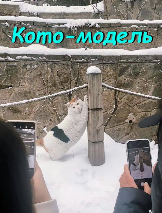 като гмодеЁь _ _