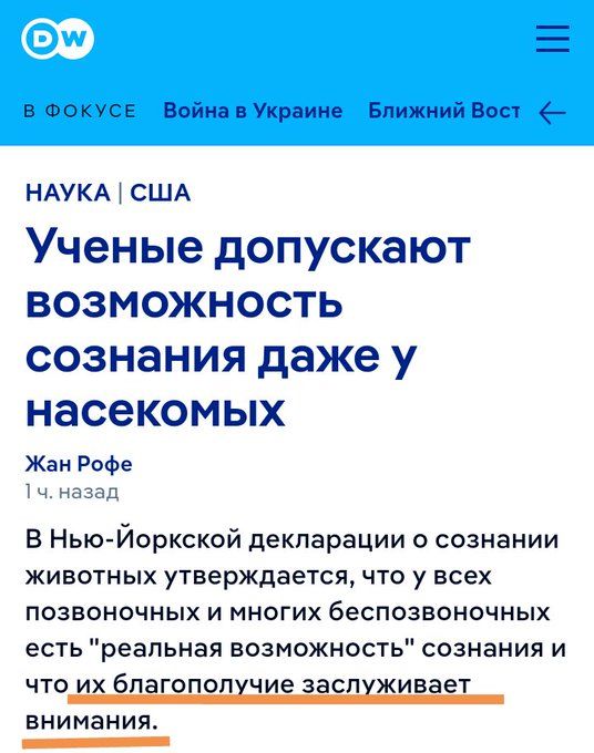 в ФОКУСЕ ВоинавУкрдине Бпижний Епст НАУКА США Ученые дОПУСКЭЮТ ВОЗМОЖНОСТЬ СОЗНЭНИЯ Даже у НЗСЭКОМЫХ Жан Рофе назад В Нью Йоркской декларации сознании животных утверждается что у всех позвоночных и многих беспозвоночных есть реальная возможность сознания и что иё ЁдЁЁЁПодХЧЦе Ёсдхддвёе внимания __