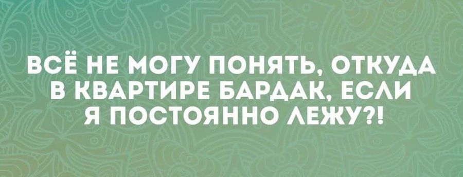 ВСЁ НЕ МОГУ ПОНЯТЬ ОТКУДА В КВАРТИРЕ БАРААК ЕСАИ Я ПОСТОЯННО АЕЖУ