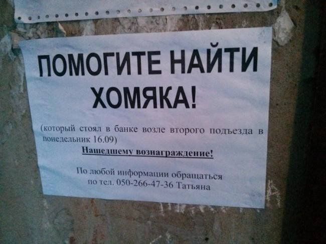 помогитЕ нАйти ХОМЯКА