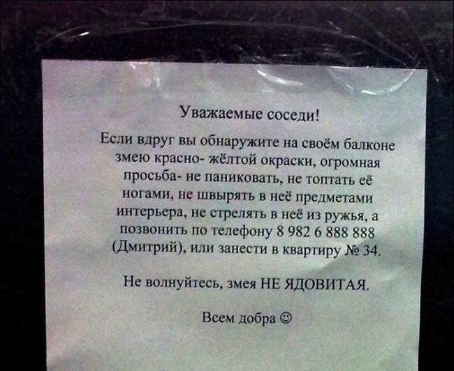 Уважпсчыс спи Ь шружип оы гы тис км й окраин ш просьб мп т пишим швырть 5 Принсипи пврьсрщ ггри пани укчхькх Цитрин и тп мшршр 34 пшнкуйксгь нг ядовнмн по добри