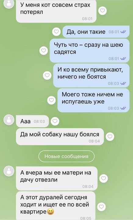 У меня кот совсем страх потеряп да они такие Чуть что сразу на шею садится и И ко всему привыкают ничего не боятся ш Моего тоже ничем не испугаешь уже ц Ааа да мой собаку нашу боялся А вчера мы ее матери на дачу отвезли А этот дурапей сегодня ходит и ищет ее по всей квартире