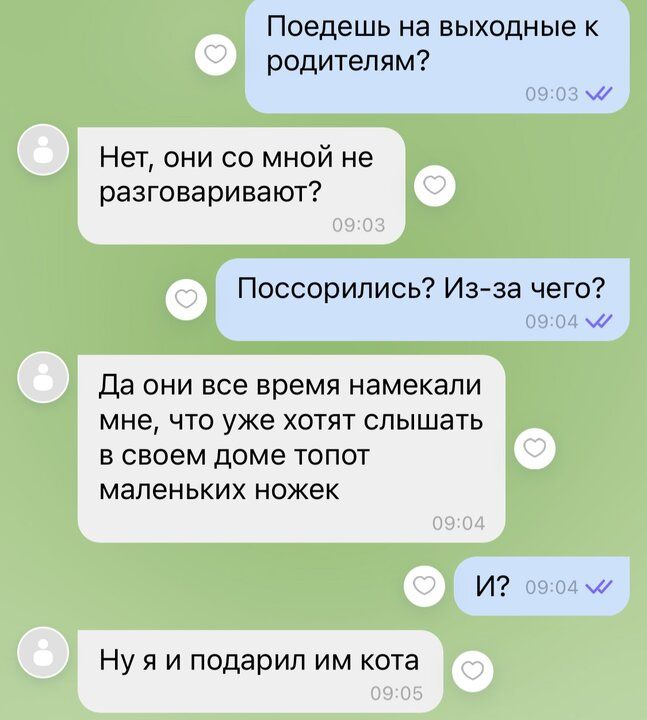 Поедешь на выходные родителям Нет они сс мной не разговаривают Поссорипись Из за чего Да они все время намекали мне что уже хотят слышать в своем доме топот маленьких ножек И ш Ну я и подарил им кота