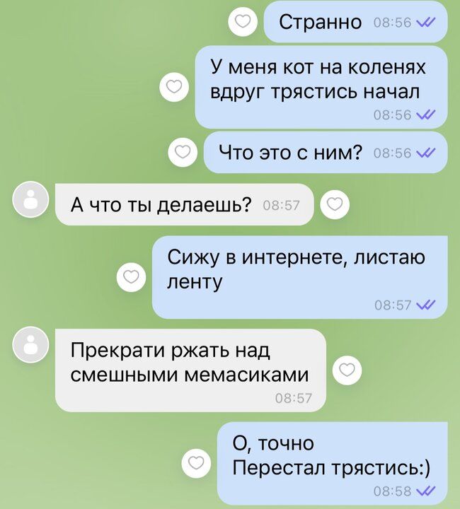 Странно У меня кот на коленях вдруг трястись начал ш Что это с ним и А что ты делаешь Сижу в интернете листаю ленту Прекрати ржать над смешными мемасиками О точно Перестал трястись х