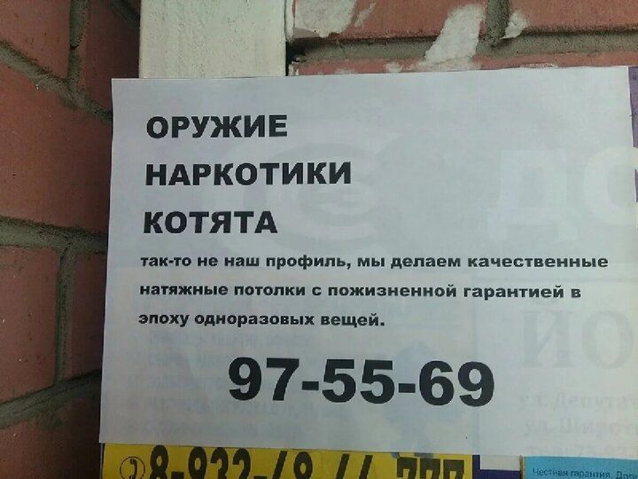 ОРУЖИЕ НАРКОТИКИ КОТЯТА пап и и при тины пити можу амп 97 55 69 ШЩП птиц