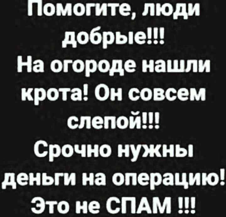 Помогите люди добрые На огороде нашли крота Он совсем слепойи Срочно нужны деньги на операцию Это не СПАМ