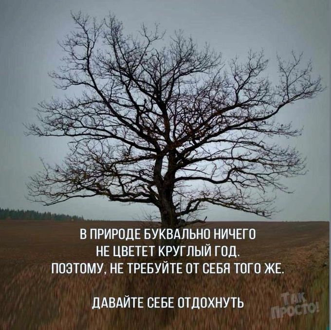 В ПРИРОДЕ БУКВАПЬНП НИЧЕГО НЕ ЦВЕТЕТ КРУГЛЫЙ ГОД ПОЭТОМУ НЕ ТРЕБУЙТЕ ПТ СЕБП ТПП ЖЕ ЛАВАЙТЕ СЕБЕ ОТДОХНУТЬ