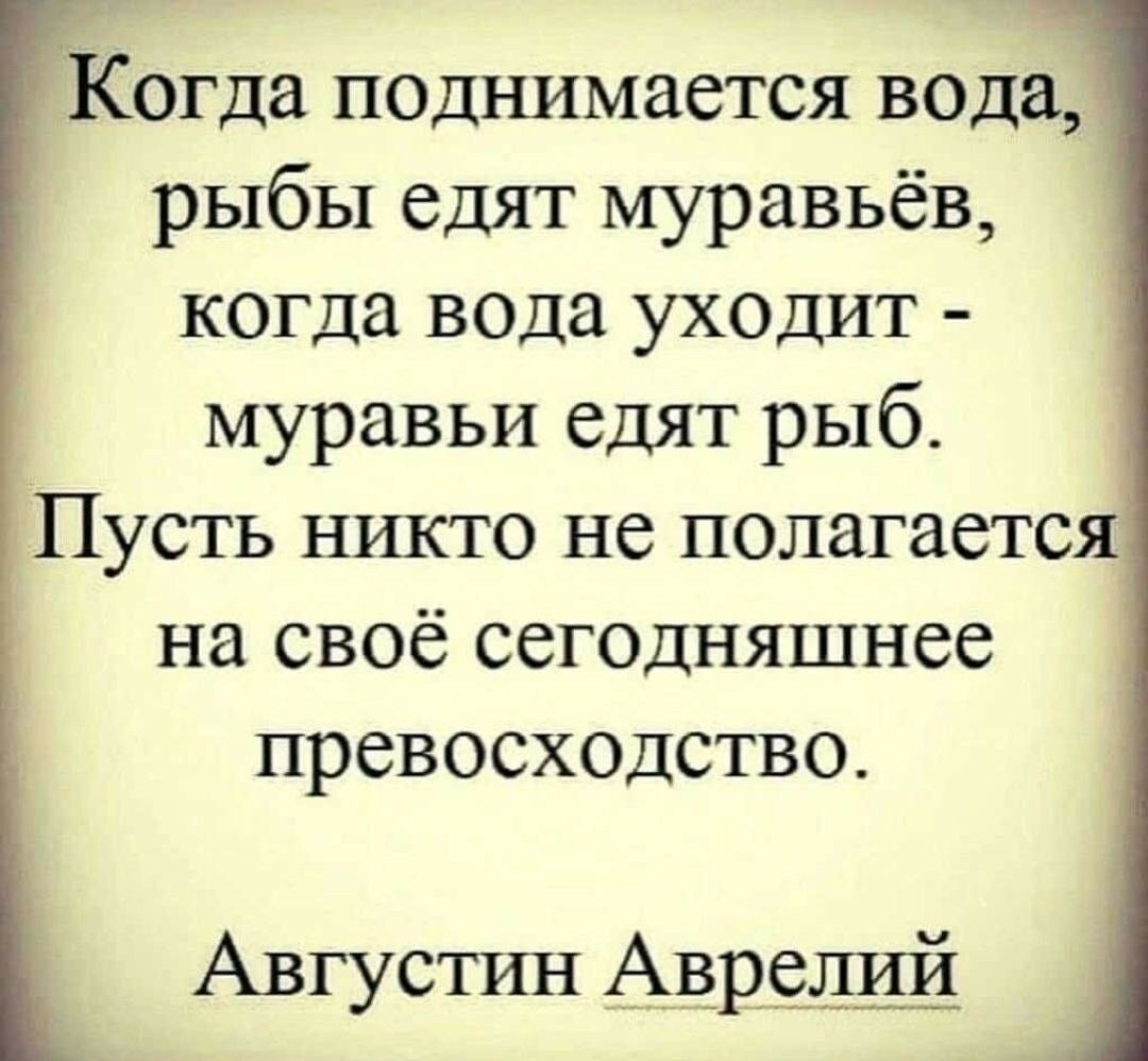 Когда поднимается вода рыбы едят муравьёв когда вода уходит муравьи едят рыб Пусть никто не полагается на своё сегодняшнее превосходство Августин Аврелий