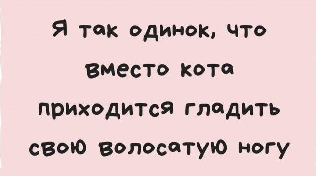 Я так одинок что Вместо кота прыжодится гладить свою волосатую ногу