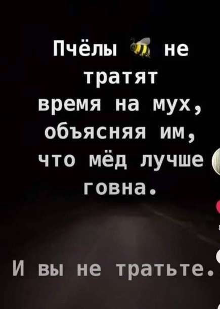 Пчёлы 15 не тратят время на мух объясняя им что мёд лучше ГОВНЭ 1 1 И вы не тратьте